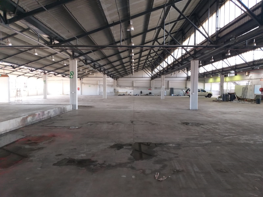 To Let Commercial Property for Rent in Paarden Eiland Western Cape